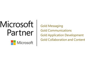 Microsoft Top Partner